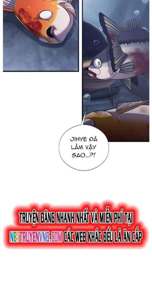 Hoá Thân Thành Cá - Page 37