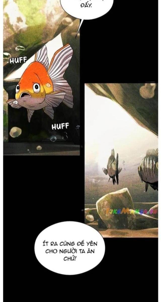 Hoá Thân Thành Cá - Page 28