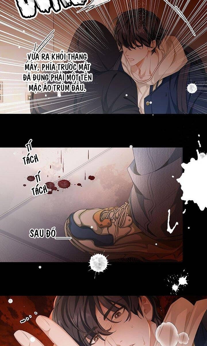Tôi Trùng Sinh Trở Thành Tiểu Ác Long Của Vương Tử Điện Hạ - Page 27