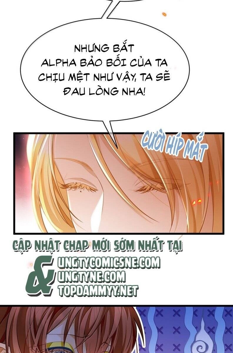Tôi Trùng Sinh Trở Thành Tiểu Ác Long Của Vương Tử Điện Hạ - Page 13