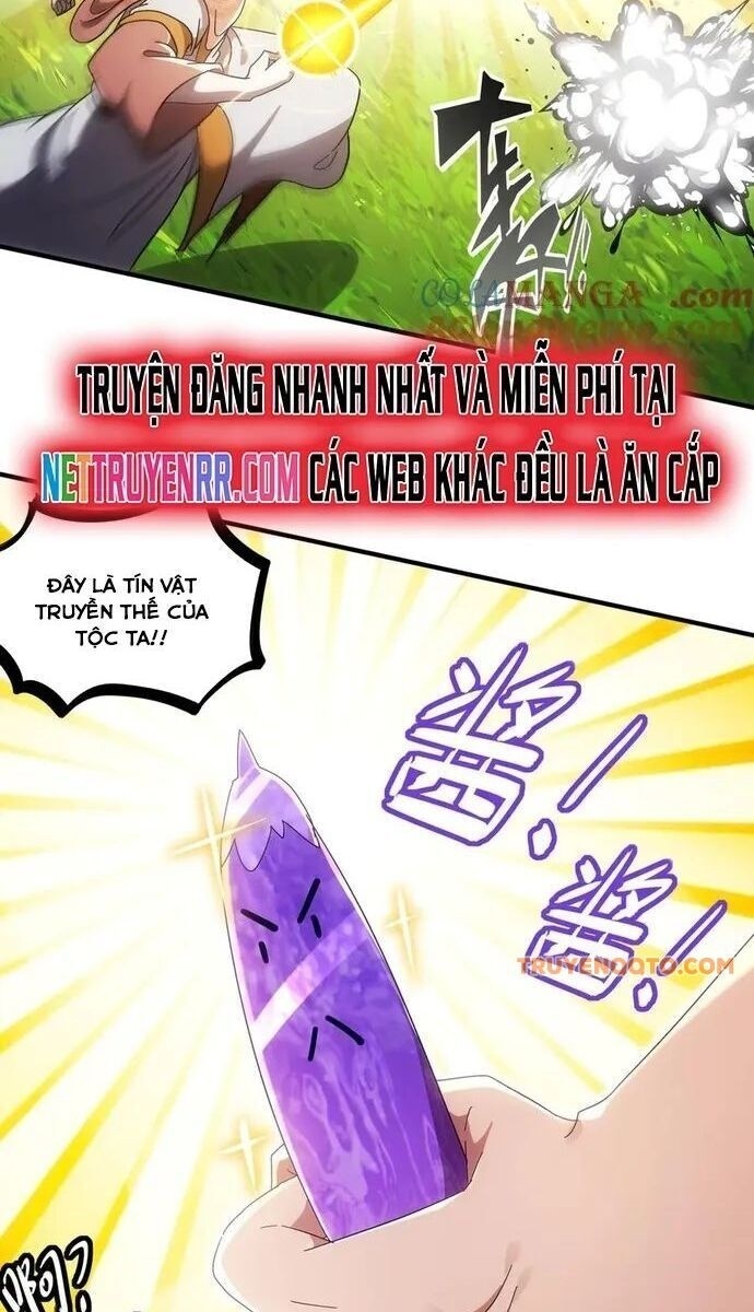 Tuyệt Sắc Đạo Lữ Đều Nói Ngô Hoàng Thể Chất Vô Địch - Page 11