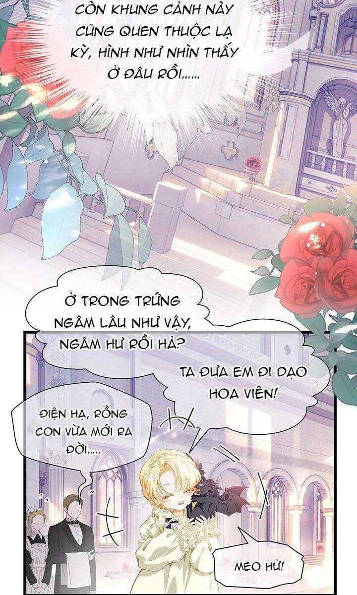 Tôi Trùng Sinh Trở Thành Tiểu Ác Long Của Vương Tử Điện Hạ - Page 17
