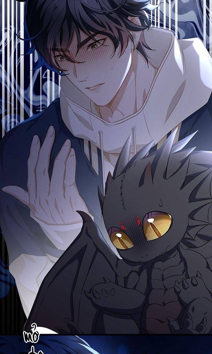 Tôi Trùng Sinh Trở Thành Tiểu Ác Long Của Vương Tử Điện Hạ - Page 11