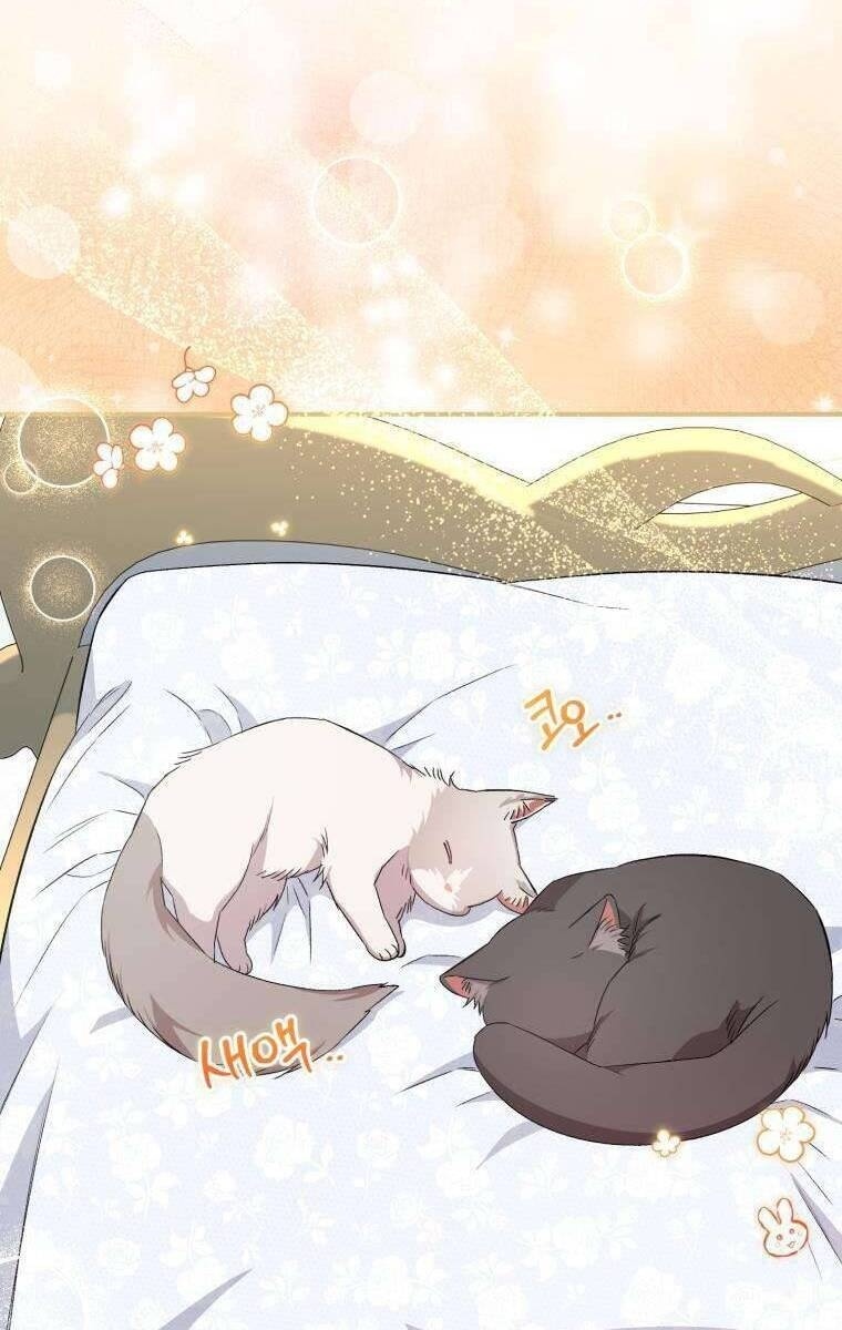 Tôi Trở Thành Mẹ Kế Của Gia Đình Hắc Ám - Page 25