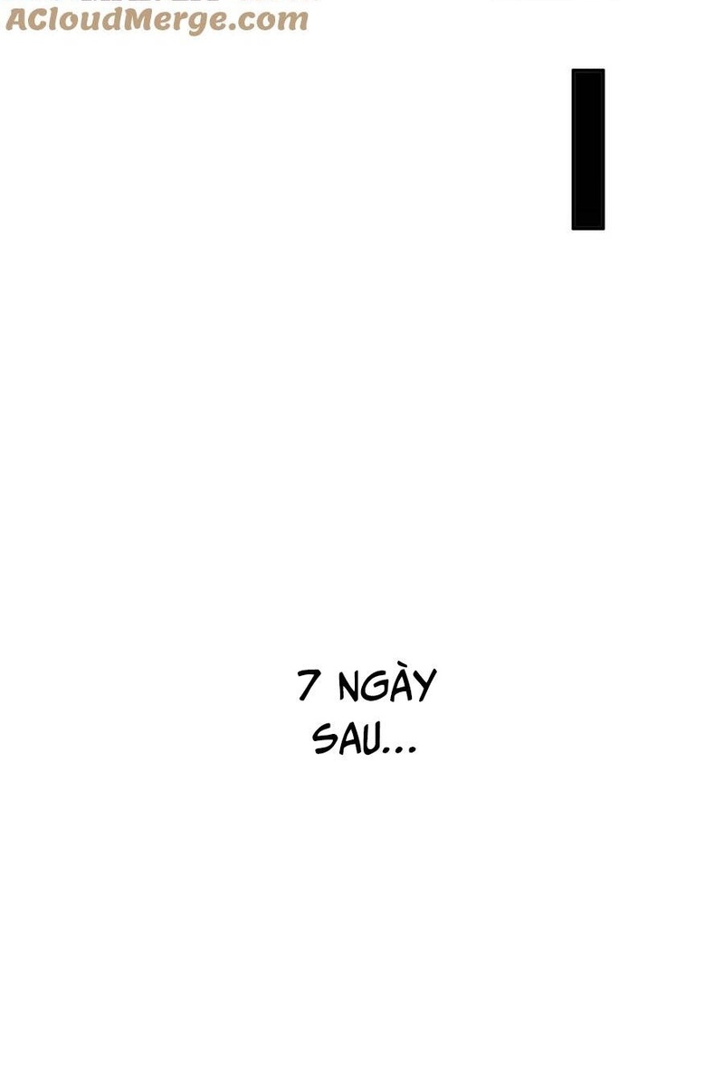 Tuyệt Sắc Đạo Lữ Đều Nói Ngô Hoàng Thể Chất Vô Địch - Page 19