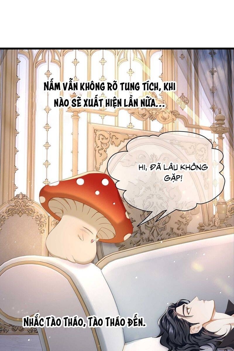 Tôi Trùng Sinh Trở Thành Tiểu Ác Long Của Vương Tử Điện Hạ - Page 25